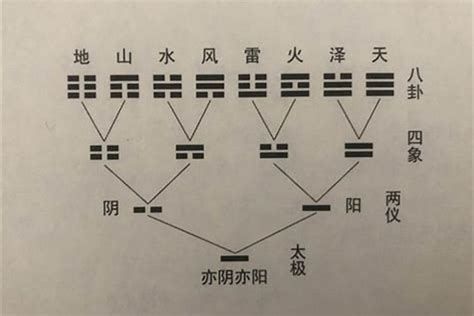 动爻怎么看|学易经要搞懂一个问题：何为动爻